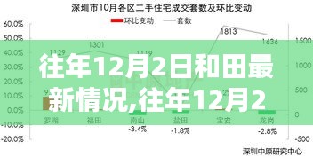 往年12月2日和田最新情况概览，和田地区发展动态更新速递