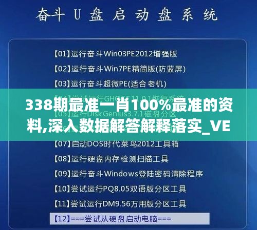 338期最准一肖100%最准的资料,深入数据解答解释落实_VE版84.268-8