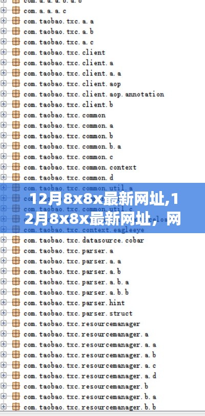 12月8x8x最新网址，网络资源的价值及其影响的深度探讨