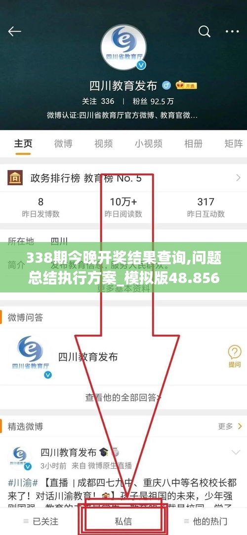 338期今晚开奖结果查询,问题总结执行方案_模拟版48.856-5