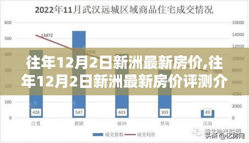 往年12月2日新洲房价概览与评测介绍