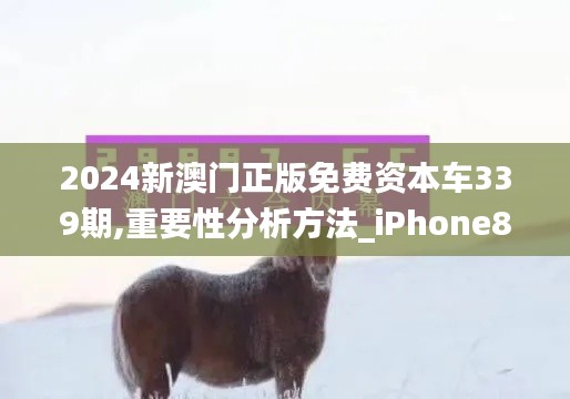 2024新澳门正版免费资本车339期,重要性分析方法_iPhone84.283-5