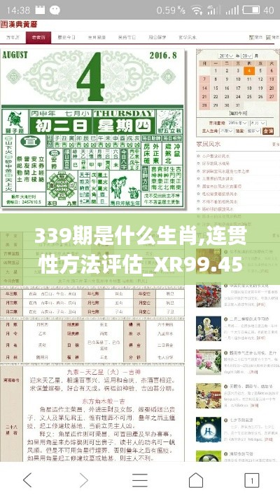 339期是什么生肖,连贯性方法评估_XR99.459-8