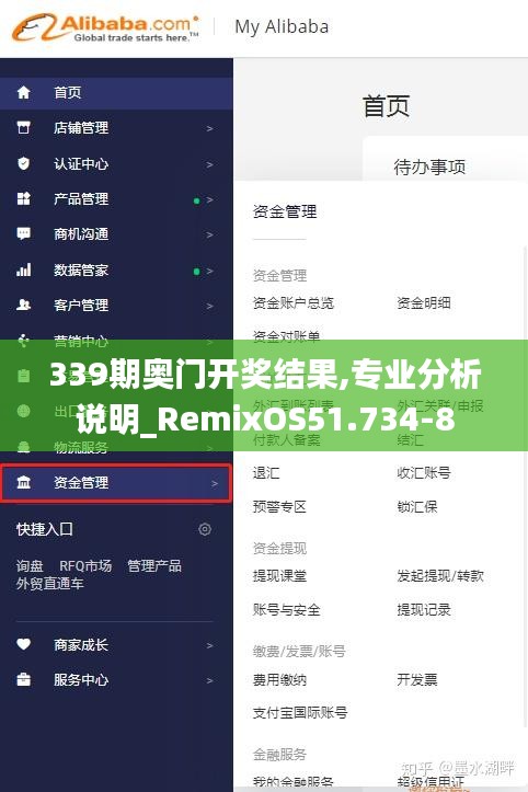 339期奥门开奖结果,专业分析说明_RemixOS51.734-8