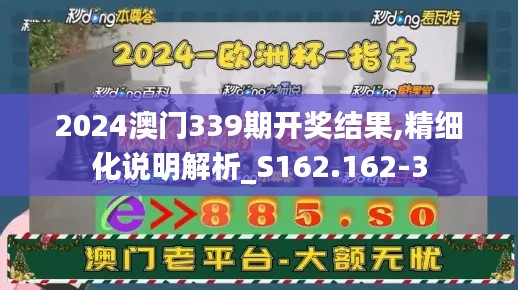 2024澳门339期开奖结果,精细化说明解析_S162.162-3