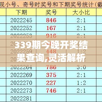 339期今晚开奖结果查询,灵活解析方案_VR版99.501-9