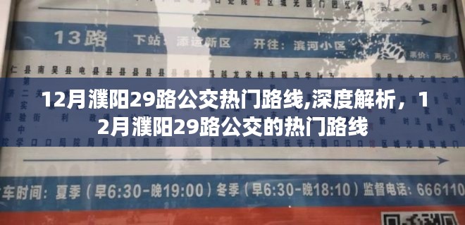 深度解析，12月濮阳29路公交热门路线全攻略