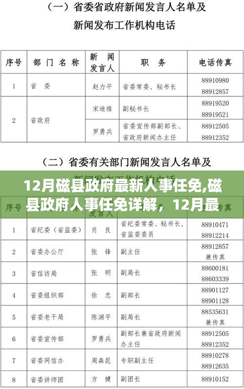 12月磁县政府人事任免详解，最新人事调整步骤及任命名单