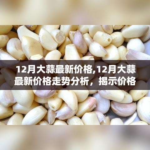 揭秘背后因素与趋势预测，12月大蒜最新价格及走势分析