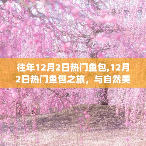 12月2日热门鱼包之旅，与自然美景的邂逅，追寻内心的宁静平和