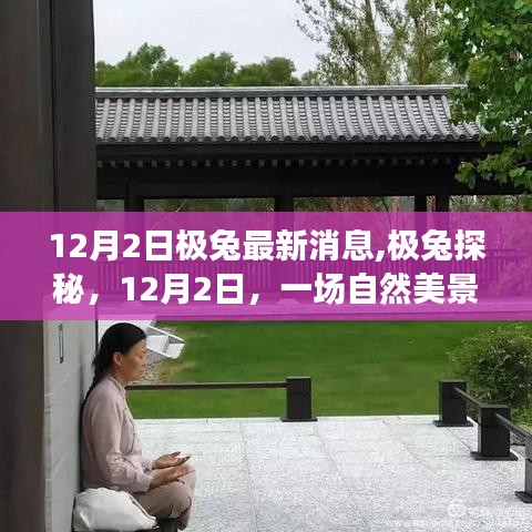 极兔探秘，自然美景的心灵之旅，12月2日最新消息