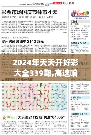 2024年天天开好彩大全339期,高速响应执行计划_标准版49.855-7