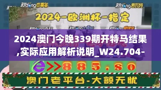 2024澳门今晚339期开特马结果,实际应用解析说明_W24.704-7