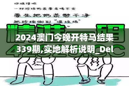 2024澳门今晚开特马结果339期,实地解析说明_Deluxe33.546-3