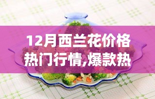 12月西兰花价格热门行情,爆款热榜揭秘十二月西兰花市场风云变幻，价格行情一网打尽！