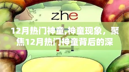 神童现象，深度解读十二月热门神童背后的故事