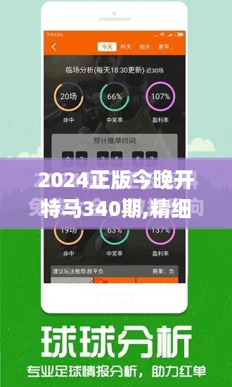 2024正版今晚开特马340期,精细化方案实施_Pixel89.647-2