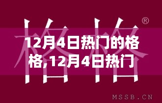 12月4日热门之选，格格产品深度评测与介绍