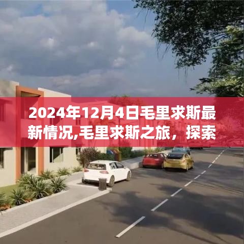 毛里求斯最新动态，探索自然美景之旅，寻找内心的平和宁静（2024年12月4日最新报道）