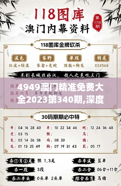 4949澳门精准免费大全2023第340期,深度分析解释定义_V39.157-2