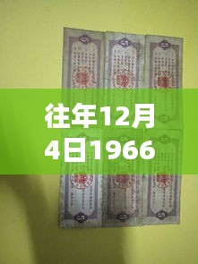 岁月流转下的粮票传奇，一九六六年五市斤粮票的价值与回忆，热门价格揭秘！