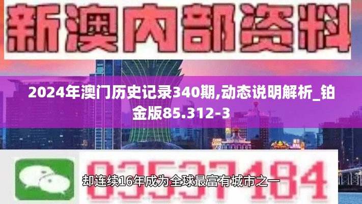 2024年澳门历史记录340期,动态说明解析_铂金版85.312-3