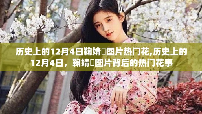 鞠婧祎图片揭秘，历史上的十二月四日背后的热门花事