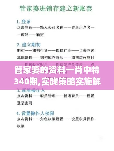 管家婆的资料一肖中特340期,实践策略实施解析_Console29.486-9