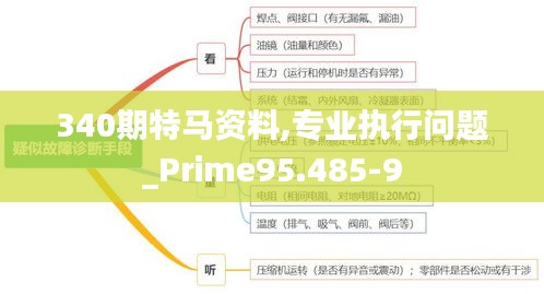 340期特马资料,专业执行问题_Prime95.485-9