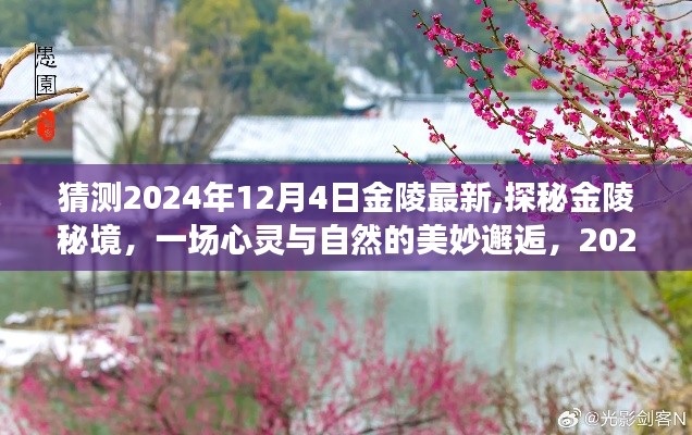 探秘金陵秘境，心灵与自然的邂逅启程于2024年12月4日