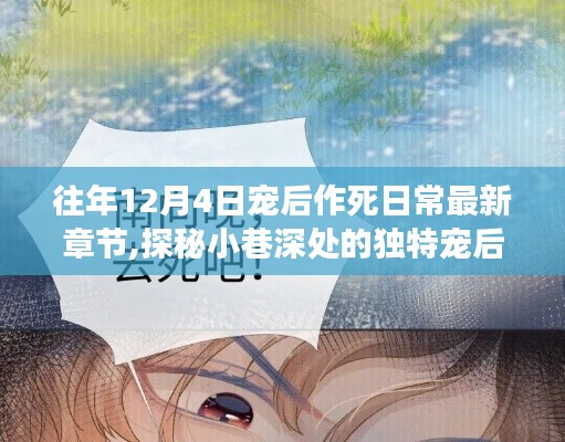 探秘宠后乐园，揭秘往年12月4日宠后作死日常最新章节幕后故事