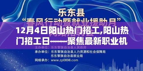 12月4日阳山热门招工,阳山热门招工日——聚焦最新职业机会与趋势分析