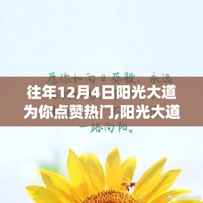 阳光大道上的励志赞歌，学习变化，自信成就梦想之路往年12月4日回顾