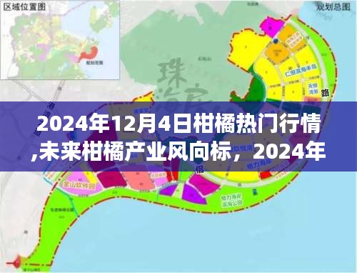 2024年柑橘产业热门行情展望，智能系统引领未来产业风向标