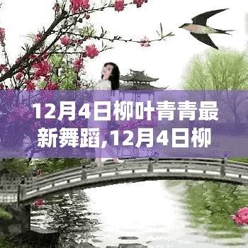 12月4日柳叶青青最新舞蹈，全面评测与介绍