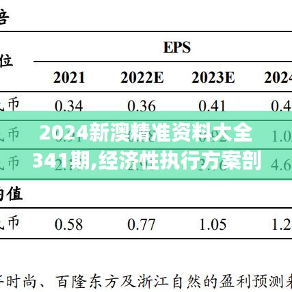 2024新澳精准资料大全341期,经济性执行方案剖析_挑战版1.821