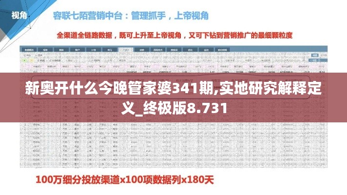 新奥开什么今晚管家婆341期,实地研究解释定义_终极版8.731