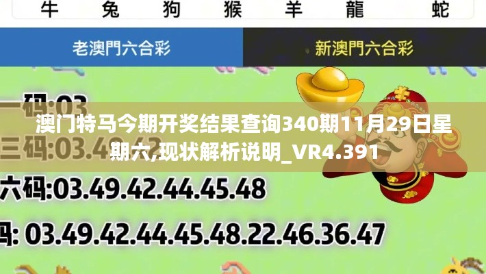 澳门特马今期开奖结果查询340期11月29日星期六,现状解析说明_VR4.391