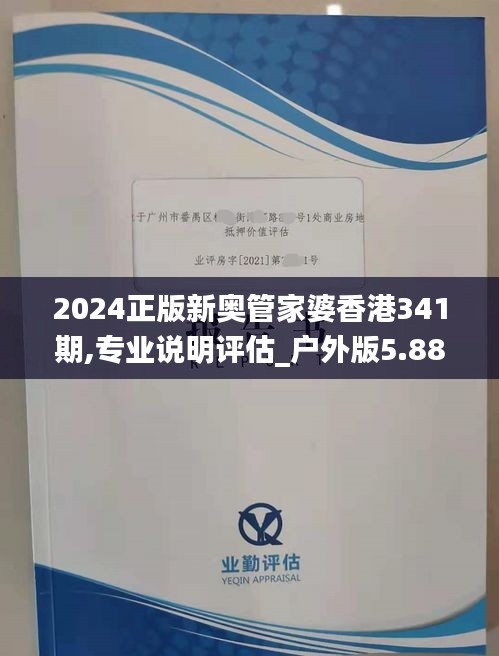 2024正版新奥管家婆香港341期,专业说明评估_户外版5.882