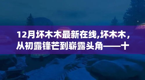 深度解析，坏木木从初露锋芒到崭露头角——十二月最新在线现象观察