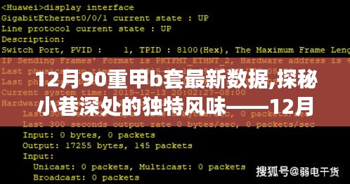 探秘小巷深处的独特风味，揭秘最新12月90重甲B套背后的故事与数据