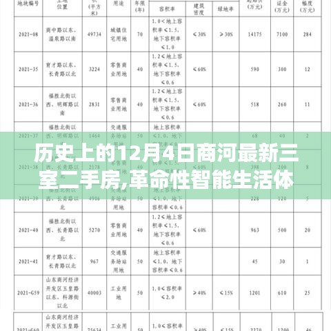 2024年12月6日 第16页