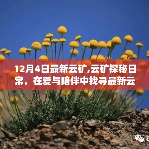 爱与陪伴中的云矿探秘之旅，最新云矿神奇发现揭秘