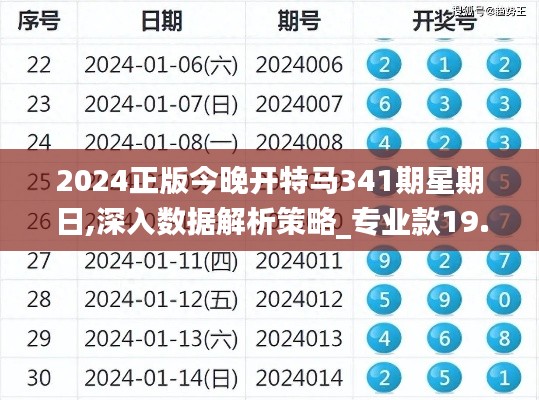 2024正版今晚开特马341期星期日,深入数据解析策略_专业款19.462