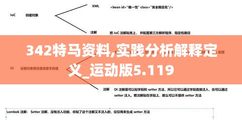 342特马资料,实践分析解释定义_运动版5.119