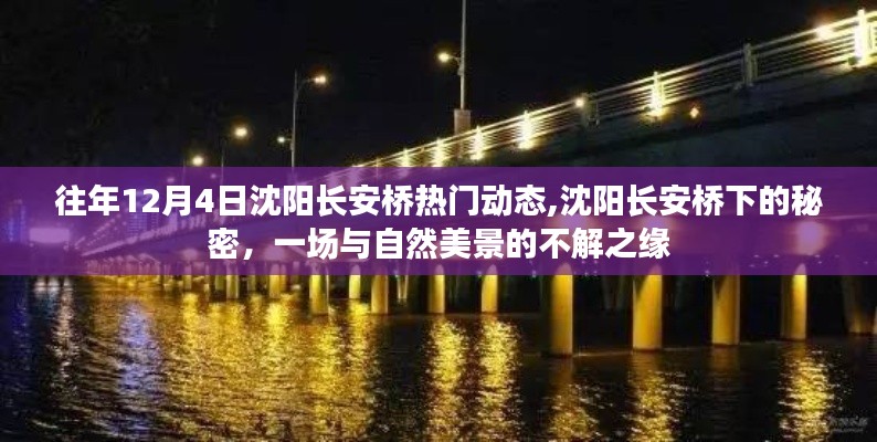 沈阳长安桥下的秘密，与自然美景的不解之缘的热门动态