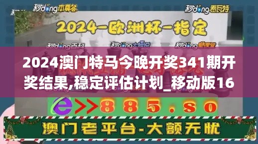 2024澳门特马今晚开奖341期开奖结果,稳定评估计划_移动版16.666