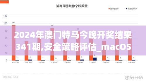 2024年澳门特马今晚开奖结果341期,安全策略评估_macOS8.742