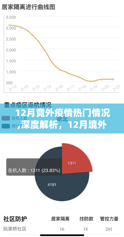 深度解析，12月境外疫情热点情况全面测评与热门案例探讨