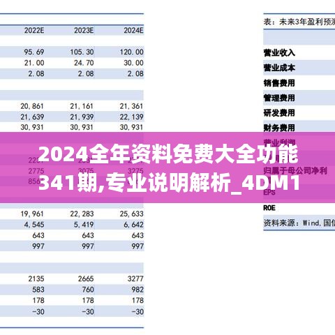 2024全年资料免费大全功能341期,专业说明解析_4DM16.379